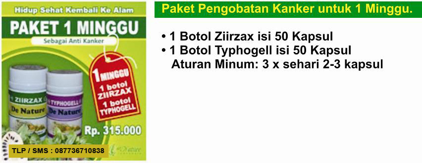 paket kanker 1 minggu